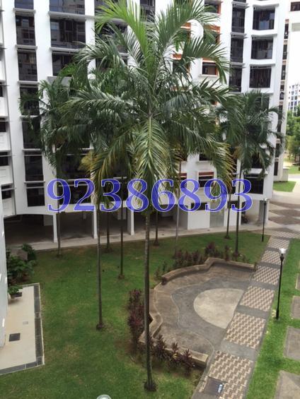 Blk 518 Woodlands Drive 14 (Woodlands), HDB 5 Rooms #109013122